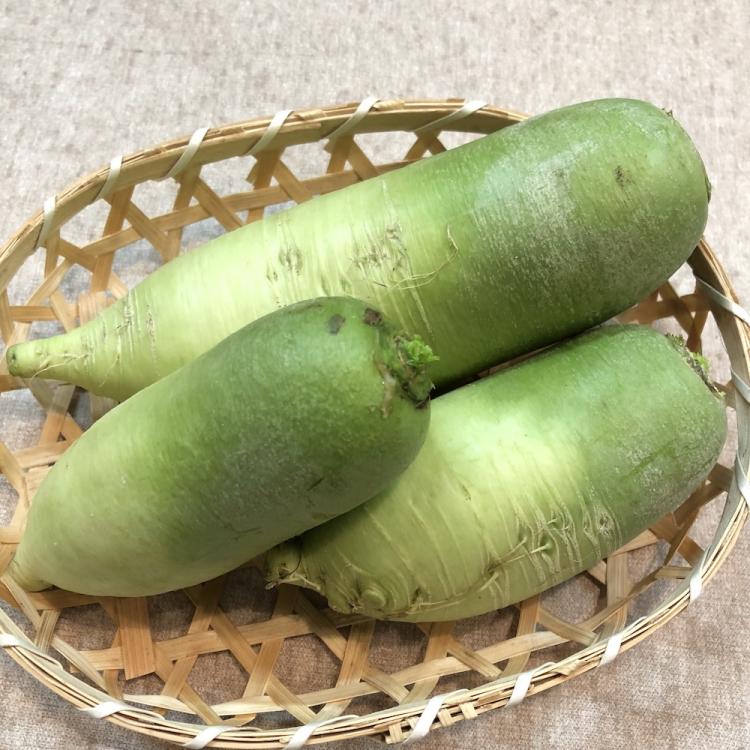 青長大根