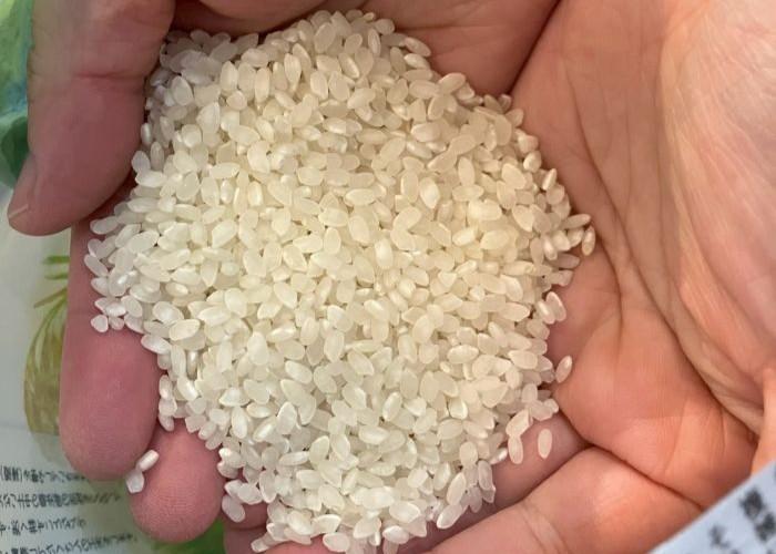 【自然栽培】朝日米 ‘‘精米‘‘ 1kg